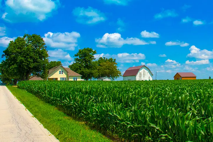 Farm-Real-Estate-Loans